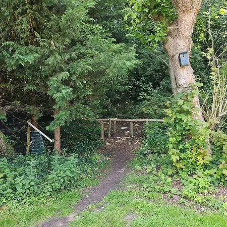 Zomerhuis Duinzicht
