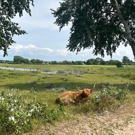 Chalé Zomerhuis Duinzicht *