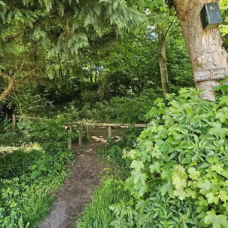 شاليه Zomerhuis Duinzicht